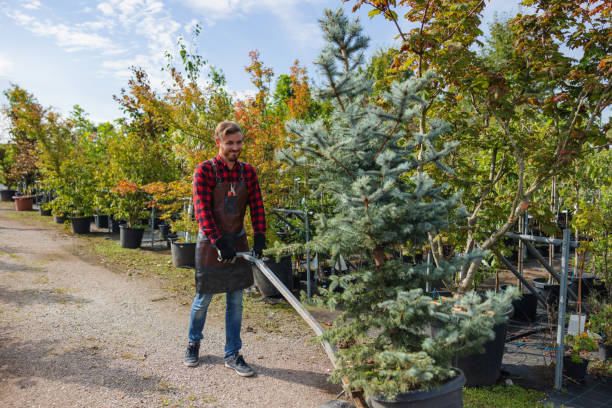 Best Tree Health Inspection  in USA